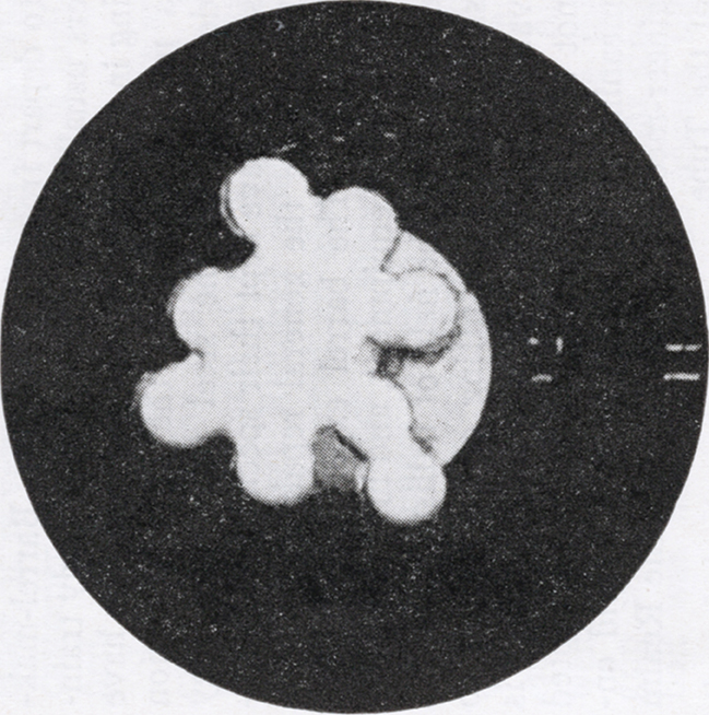 The Wyoming Schuetzen Union’s “Center Shot” | Black Powder Cartridge